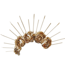 Golden crown